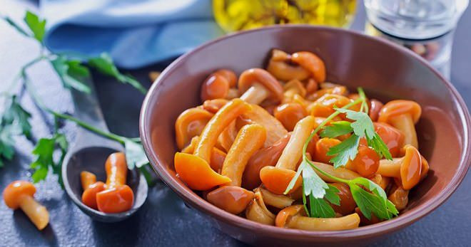 ТОП 10 рецептов маринованных опят – вкуснее ещё не придумали!