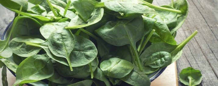 Омлет со шпинатом — вкусные рецепты с помидорами, сыром и другими добавками